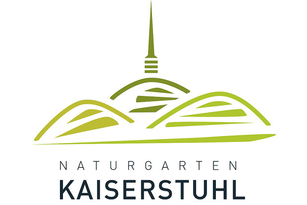 Logo NGK 2020