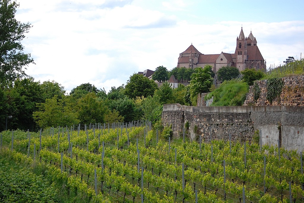 Urlaubsregion Stadt Breisach am Rhein