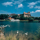 Blick vom Rhein